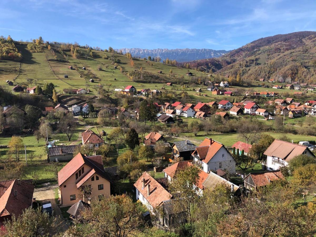 On Top Chalet Bran  Dış mekan fotoğraf