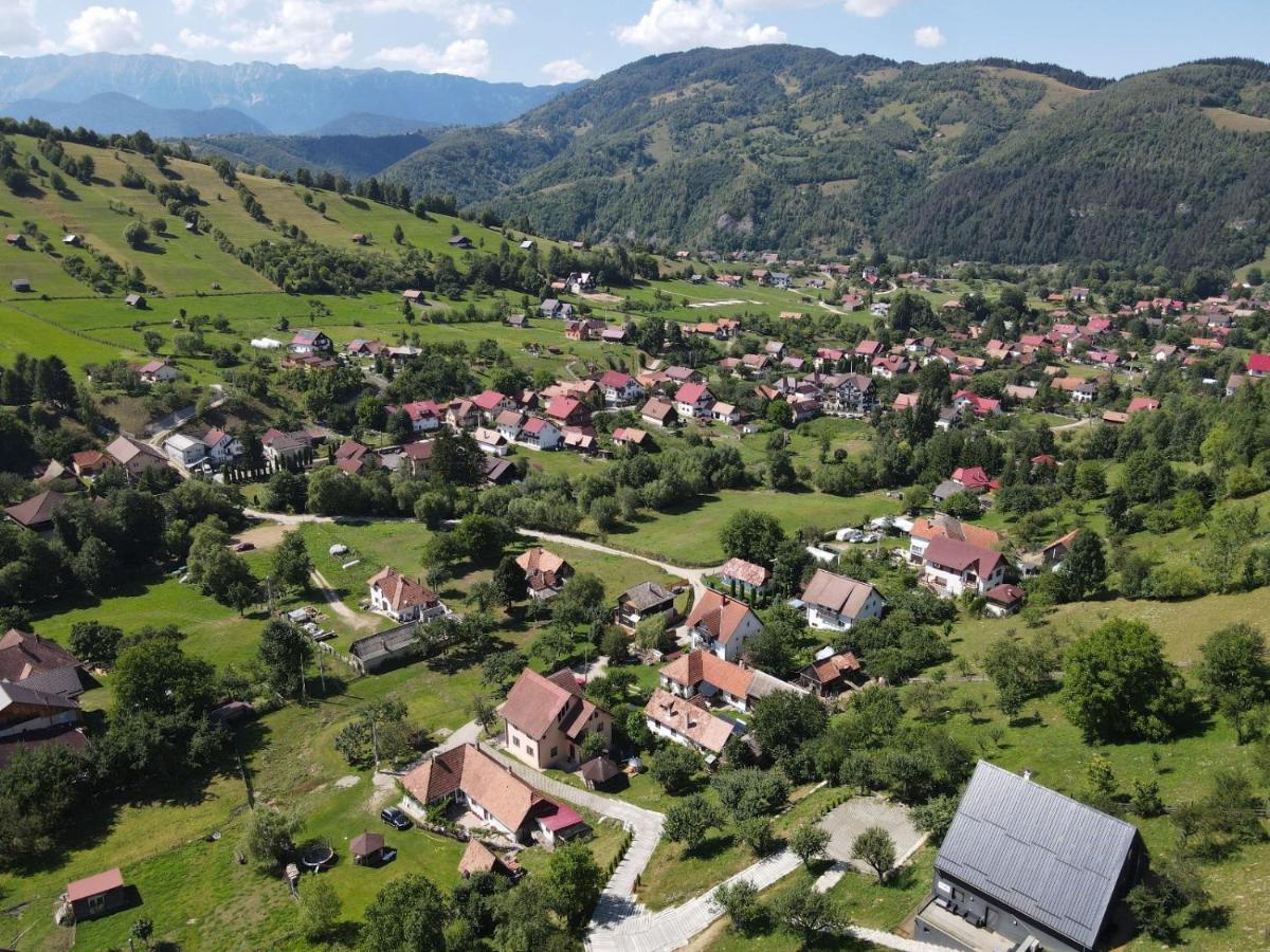 On Top Chalet Bran  Dış mekan fotoğraf