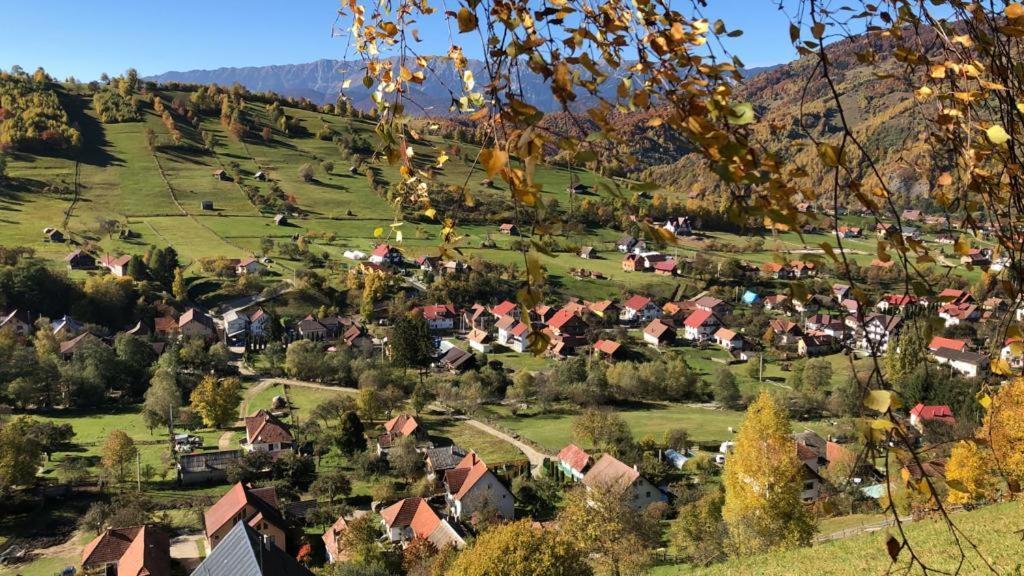 On Top Chalet Bran  Dış mekan fotoğraf