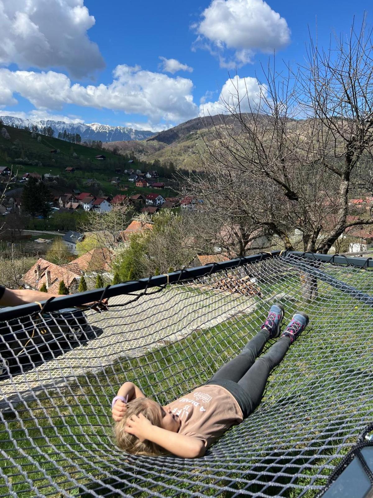 On Top Chalet Bran  Dış mekan fotoğraf